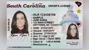 Licencia de conducir gratis para inmigrantes en Carolina del Sur: realiza este único paso y recibe tu Real ID en 2025