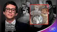 Jaime Chincha sobre nuevas revelaciones de Qali Warma: "¿Cómo es posible que los niños reciban esta clase de alimentos podridos?"