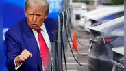 Atención, conductores en California: el reembolso para comprar autos eléctricos si Trump elimina el crédito fiscal