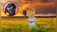 Este es el singular significado detrás del “perro chill”, el nuevo meme viral en todas las redes sociales