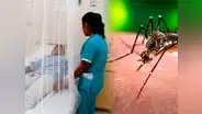 Dengue pone en alerta epidemiológica a Perú: EsSalud reporta que casos superan los 90.000 y se concentran en el norte