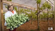 Ingeniera peruana vivió en España por 3 meses con solo US$200: hoy es gerenta y exporta uba por millones de dólares