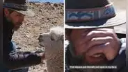 La vez que alpaca escupió a fotógrafo de National Geographic durante sesión de fotos: "Bienvenido a Perú"
