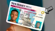 Licencia de conducir en Nueva Jersey: estos son los requisitos que necesitas para obtener el Real ID de forma rápida
