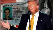 Pésimas noticias para inmigrantes: Trump podría identificar y deportar indocumentados que tengan licencia de conducir