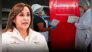 Presidencia asegura que Dina Boluarte no tuvo responsabilidad en contratar a empresa Frigoinca por caso Qali Warma