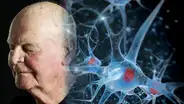 Investigación revela cómo los órganos envejecen a distintos ritmos y qué puede mejorar la longevidad