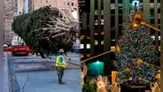 El origen del árbol de Navidad más famoso en Nueva York: 50.000 luces LED y con más de 20 metros de altura