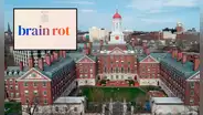 ¿Qué significa "Brain rot" (podredumbre mental), la palabra del año 2024 según la Universidad de Oxford?