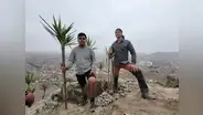 El desértico cerro de SMP que sería el nuevo pulmón verde de Lima:¿quién es el argentino detrás del proyecto La Milla?