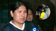 Escolar agrede a su compañera con arma blanca y le causa grave herida en el cuello en Comas: madre pide justicia