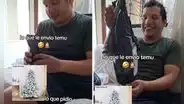 Peruano pidió árbol de Navidad por Temu y lo que enviaron desata risas en redes: “Un plumero navideño”