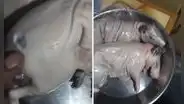 Peruano compra cuy y descubre misterioso detalle al prepararlo: "Le cortaron algo"