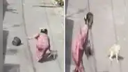 Mujer lanza agua a un gato, pero el felino tiene épica reacción y logra que caiga al suelo
