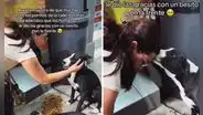 Perrito callejero tuvo conmovedor gesto de amor con joven que lo alimentó: "Un besito en la frente"