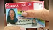 Licencia de conducir para inmigrantes en Hawái: 8 requisitos y documentos clave para obtener tu Real ID en 2025