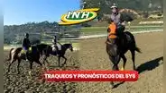 Descubre los traqueos y pronósticos del 5y6 de La Rinconada para Serie Hípica del Caribe: favoritos de Gaceta Hípica y Cordialito