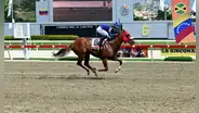 RESULTADOS Serie Hípica del Caribe 2024: ganadores y orden de llegada de las carreras en el Hipódromo La Rinconada
