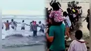 Hinchas de Alianza Lima salvan a dos personas de ahogarse en playa de Ventanilla: formaron cadena humana