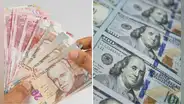 Tipo de cambio a la baja: tendencia del dólar en Perú será similar en 2025