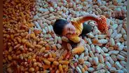Advierten que 6 de cada 10 niños en América Latina padecen cansancio y emociones negativas por hambre, según estudio