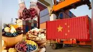 Los productos de Perú que se exportan a China: nuevos acuerdos impulsan el envío de frutos al mercado asiático