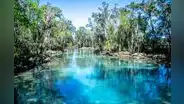 El paraíso tropical en California que debes visitar en 2025: el mejor de EE. UU. por su conexión con la naturaleza