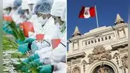 Congreso busca acelerar aprobación de Ley Chlimper 2.0 que beneficia a grandes agroexportadoras