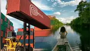 Perú entre los primeros exportadores en el mundo de este producto: crece en la selva y no es el plátano