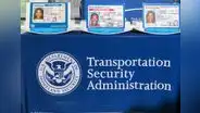 Licencia de conducir para inmigrantes en Delaware: 5 principales requisitos para obtener tu Real ID en USA este 2025