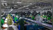 Cuestionan Ley Chlimper 2.0 que beneficia a grandes agroexportadoras
