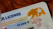 Real ID en Estados Unidos.: el paso a paso para cambiar tu licencia de conducir al renovarla en línea