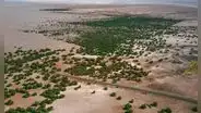 La Gran Muralla Verde de China completa los primeros 3.046 kilómetros en medio de un desierto