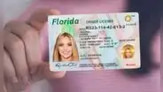 Licencia de conducir en Florida: conoce los días que no podrás tramitar tu documento por cierre de oficinas