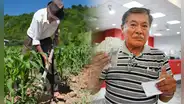 El Estado brinda desde S/400 hasta S/800 si eres agricultor: ¿en qué consiste el seguro y cómo activarlo?