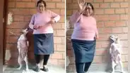 Perrita y su dueña adulta mayor enternecen al bailar trend viral de TikTok: “10 de 10”