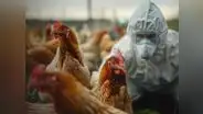 ¡Alerta, USA! Gobierno detectó primer caso de gripe aviar H5N1 en paciente y California declaró estado de emergencia
