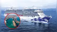 Puerto de San Antonio en Chile recibió el crucero más grande en ese país: buque también pasó por el Callao