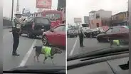 Captan a perrito dirigiendo el tránsito junto a policía y usuarios bromean: "Harán relevo”