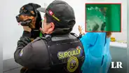 Maltrato animal en Surquillo: mantienen a perros de brigada canina en cuartos inundados de desagüe y roedores