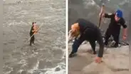 Policías logran el rescate de perrito atrapado en el río Rímac: ingresaría a la Unidad Canina
