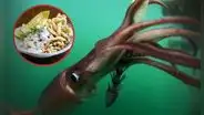 Este monstruo marino se sirve en los ceviches y platos marinos de Perú: alcanza hasta los dos metros y 60 kilogramos de peso