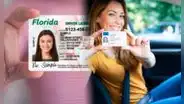 Atención, inmigrantes en Florida: estos son los pasos para tramitar el Real ID con una Green Card vencida en USA 2025