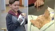 Niño conmueve al cambiar su patineta por salvar a un gatito maltratado: "No podía dejarlo sufrir"