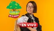 Samán de la Suerte EN VIVO hoy, 31 de diciembre: revisa chance del sorteo samán de la suerte hoy y números ganadores