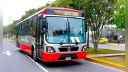 Corredor Rojo: servicio 209 vuelve a operar por la Carretera Central y con una tarifa promocional