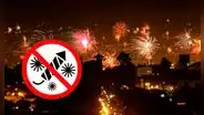 Año Nuevo 2025: estos distritos de Lima prohíben el uso de pirotécnicos con multas que superan los S/5.000