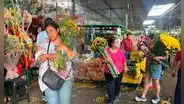 Peruanos reciben el Año Nuevo 2025 con flores amarillas: significado, precios y más detrás de esta costumbre