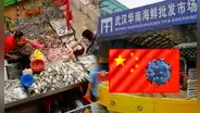 Científicos confirman el mercado de China como el origen de la COVID-19: nuevo estudio revela que se originó por fauna silvestre
