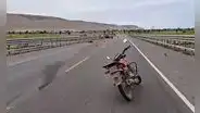 Tragedia en Arequipa: motociclista muere arrollado en Valle de Tambo el último día de 2024